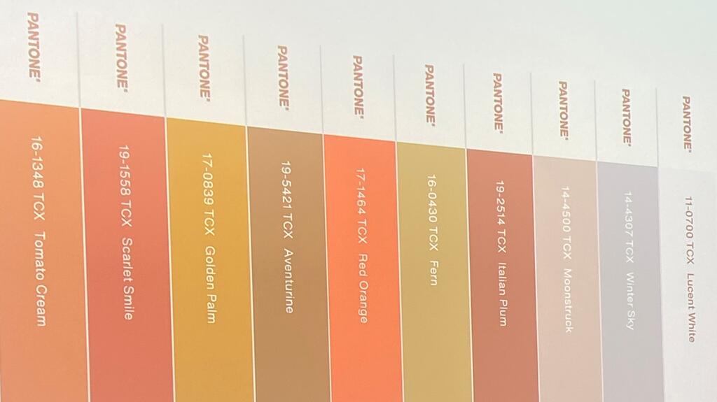 In her presentation, JA Director of Public Relations and Events Amanda Gizzi also shared these Pantone swatches and called out some gemstones in similar shades. They are the colors Pantone predicts will be hot this fall (from left to right): Tomato Cream, Scarlet Smile, Golden Palm, Aventurine, Red Orange, Fern, Italian Plum, Moonstruck, Winter Sky, and Lucent White. 20240726_Pantone swatches.jpg